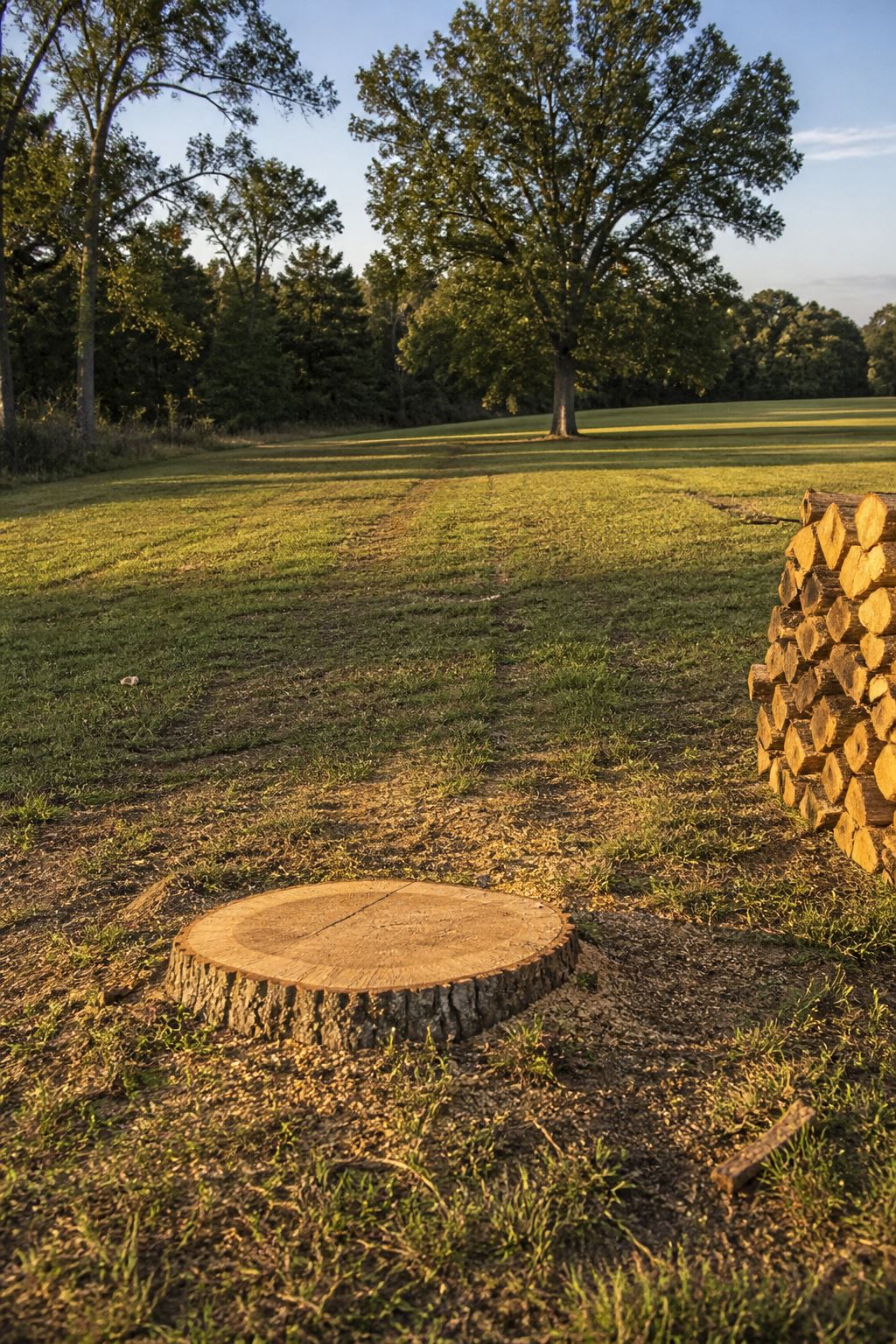 Storm Debris Cleanup