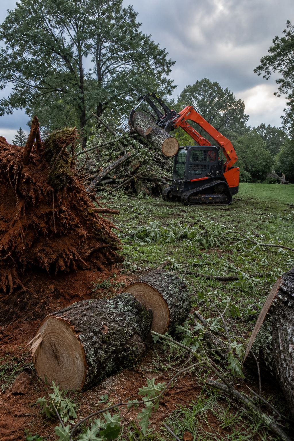 Storm Debris Cleanup